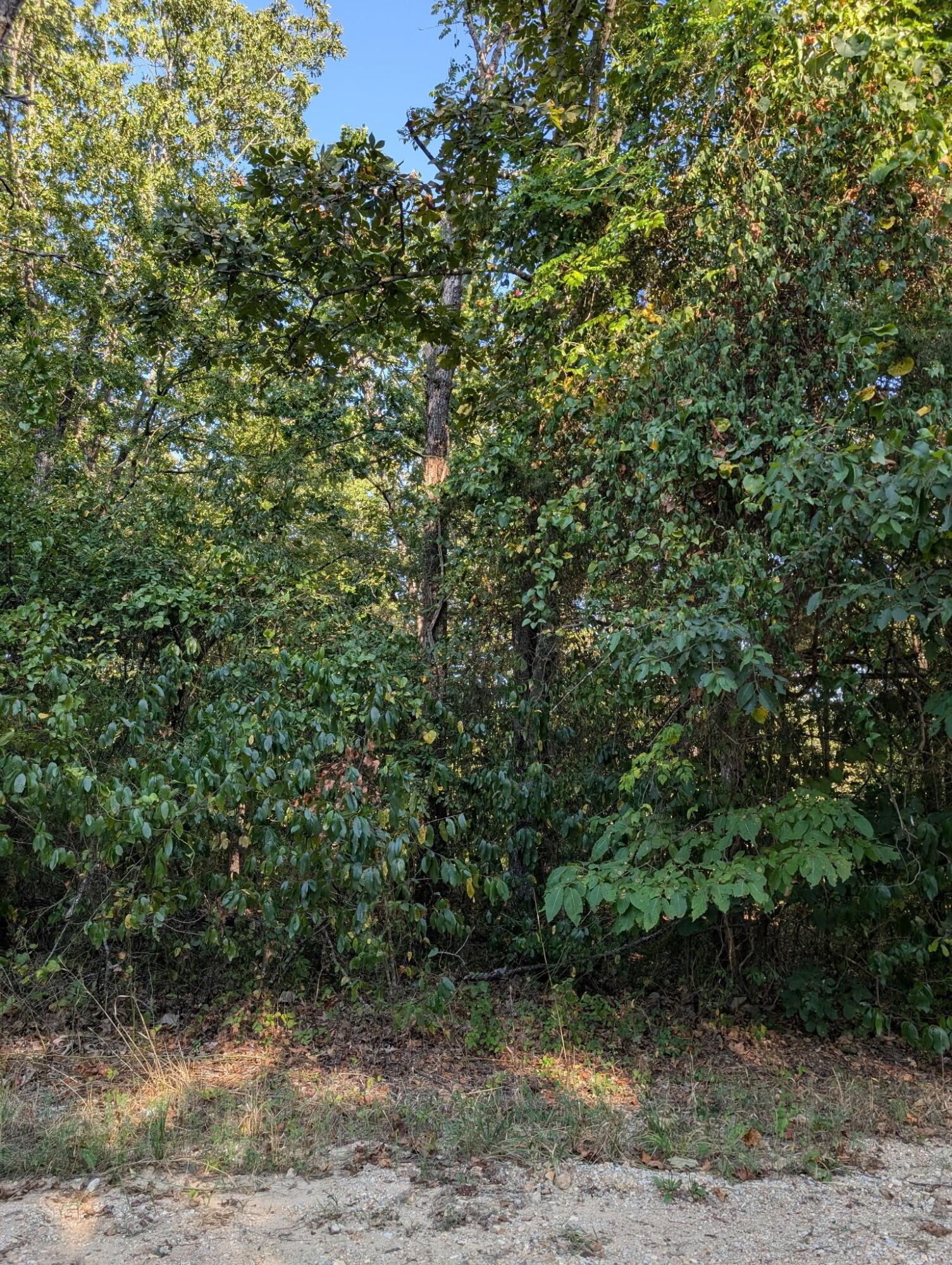 Image 4 Image 4