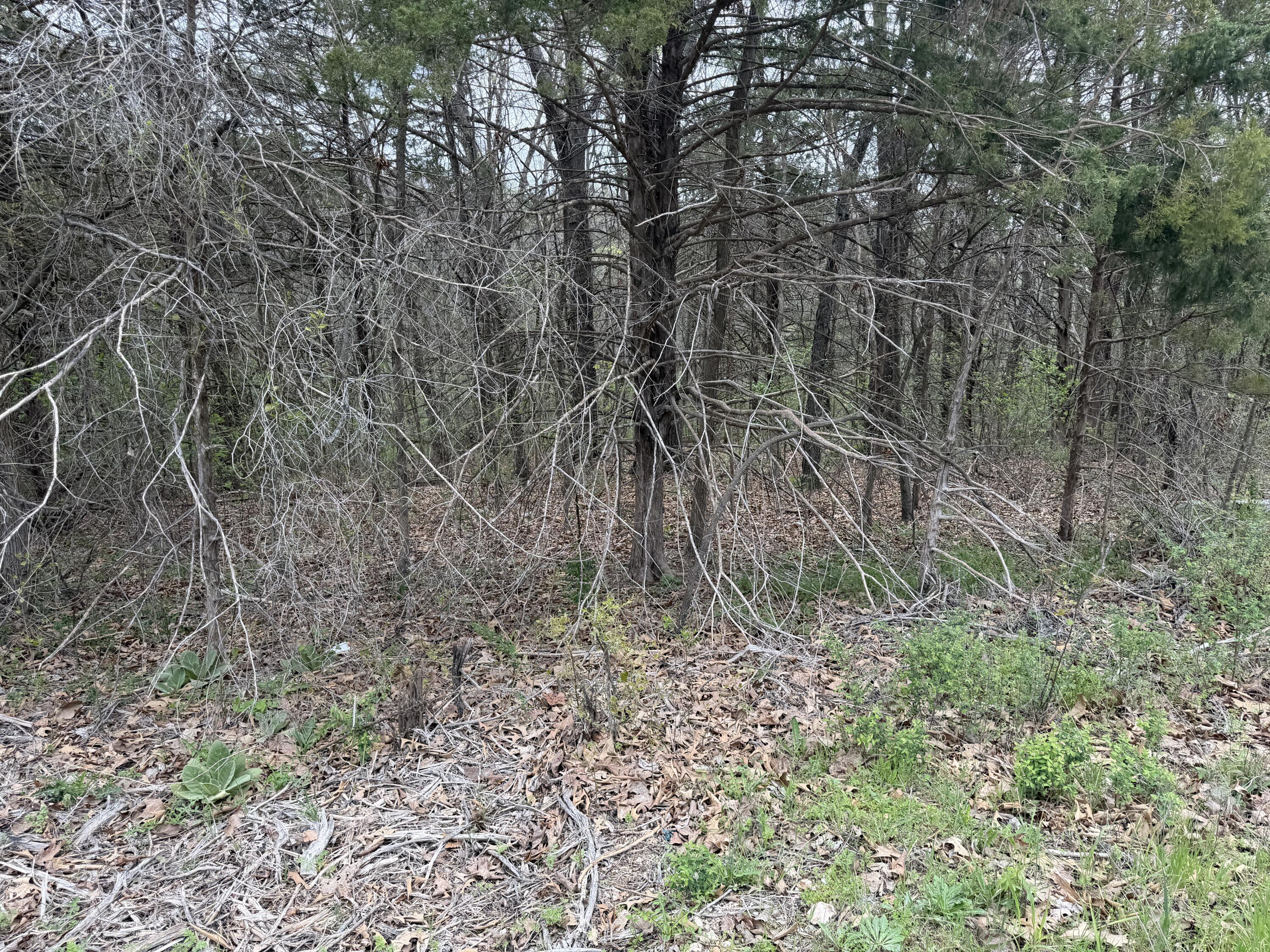 Image 1 Image 1