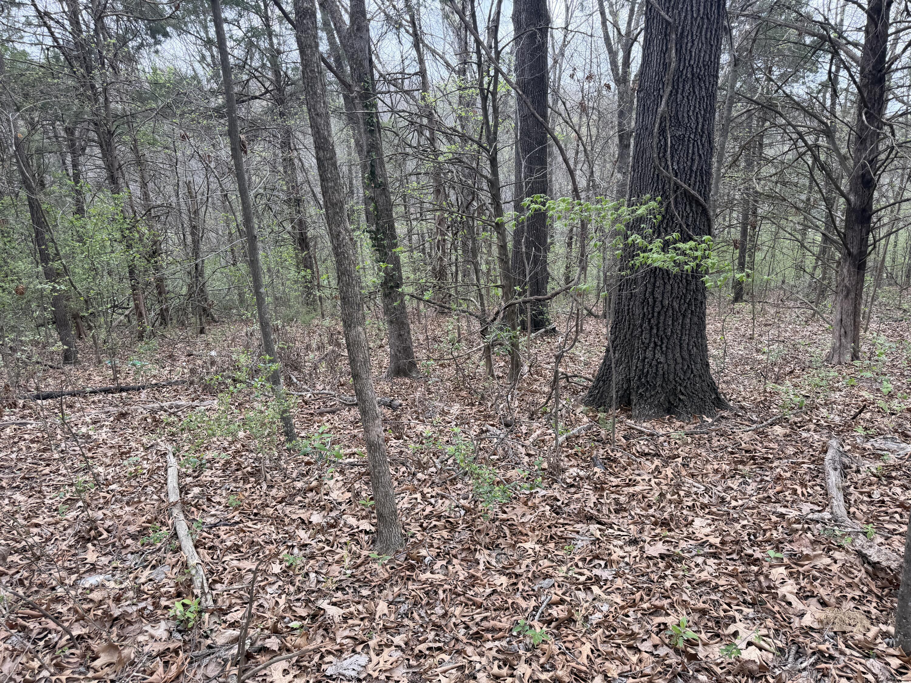 Image 3 Image 3