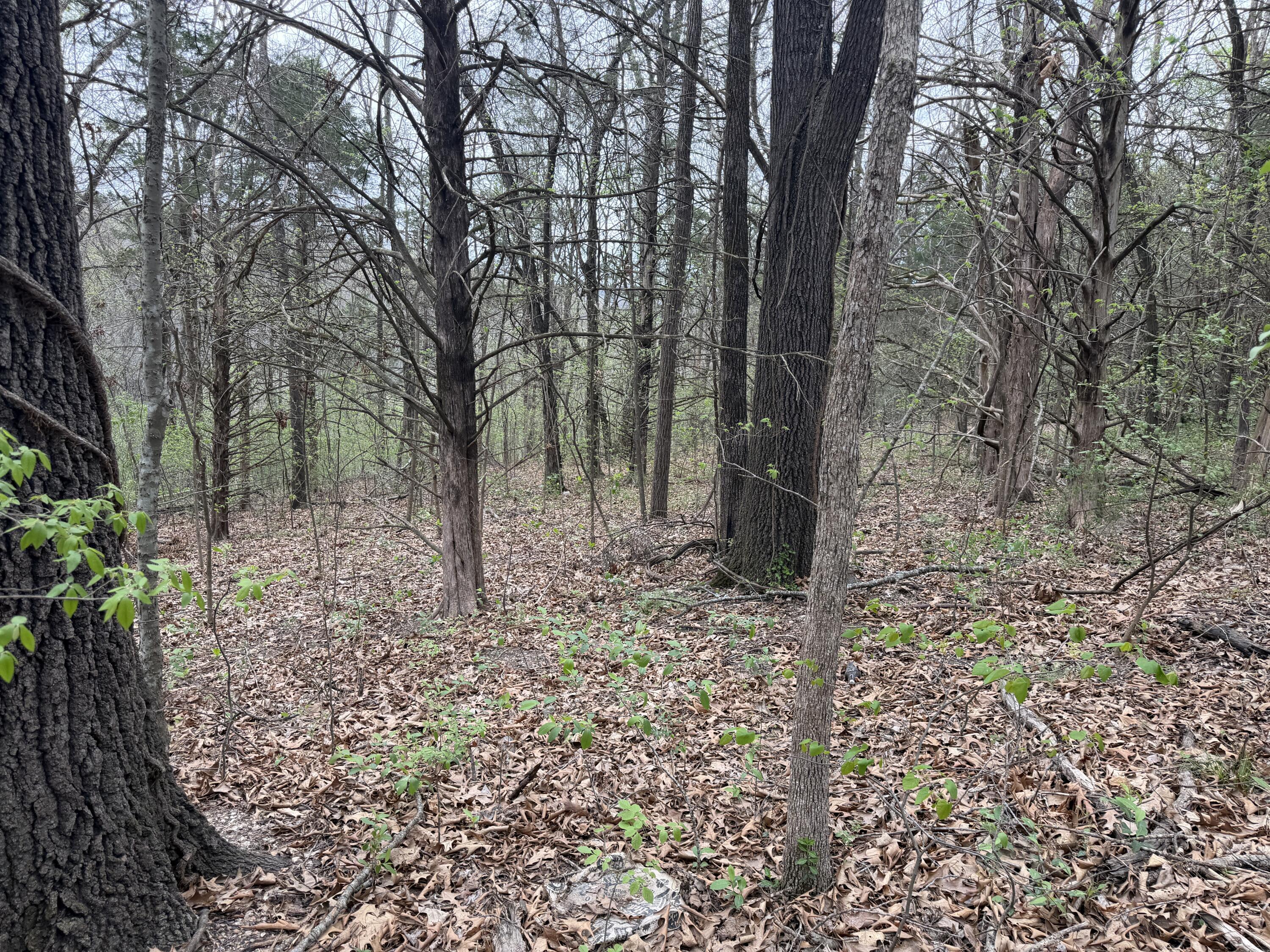 Image 4 Image 4