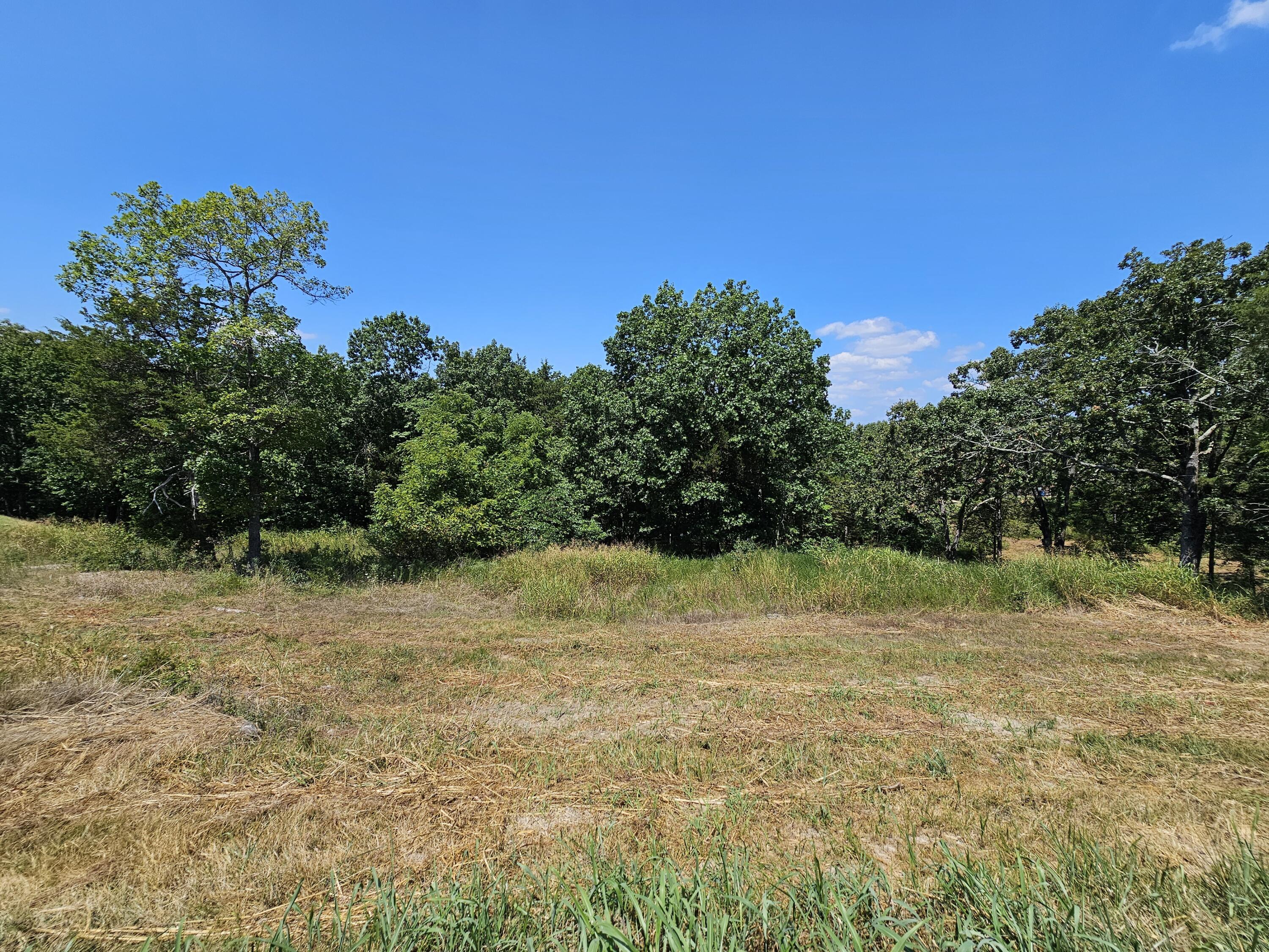 Image 4 Image 4