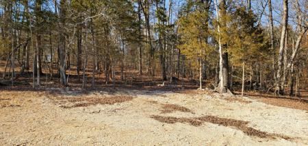 000 Lot 99 Summer Breeze Lane