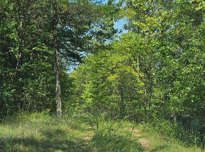 000 Homestead Cedar Hills