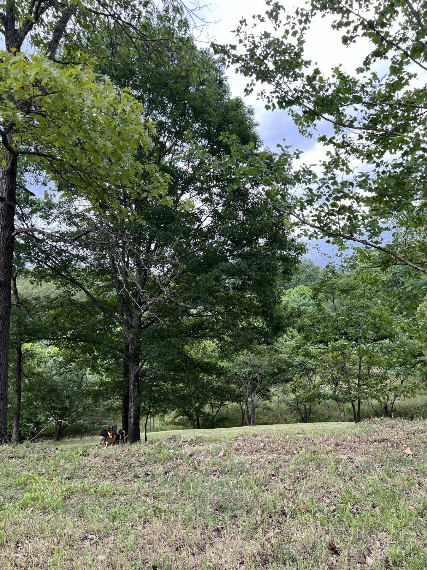 Image 2 Image 2