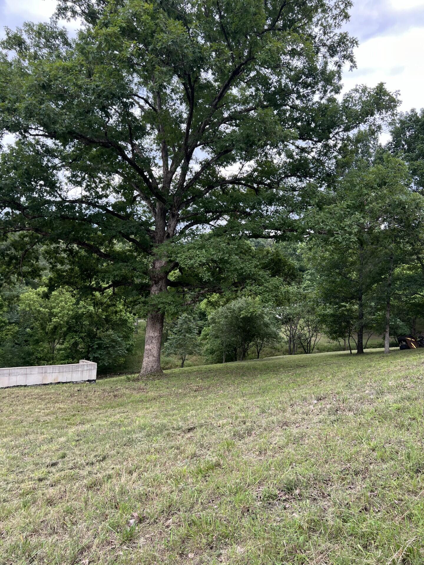 Image 3 Image 3