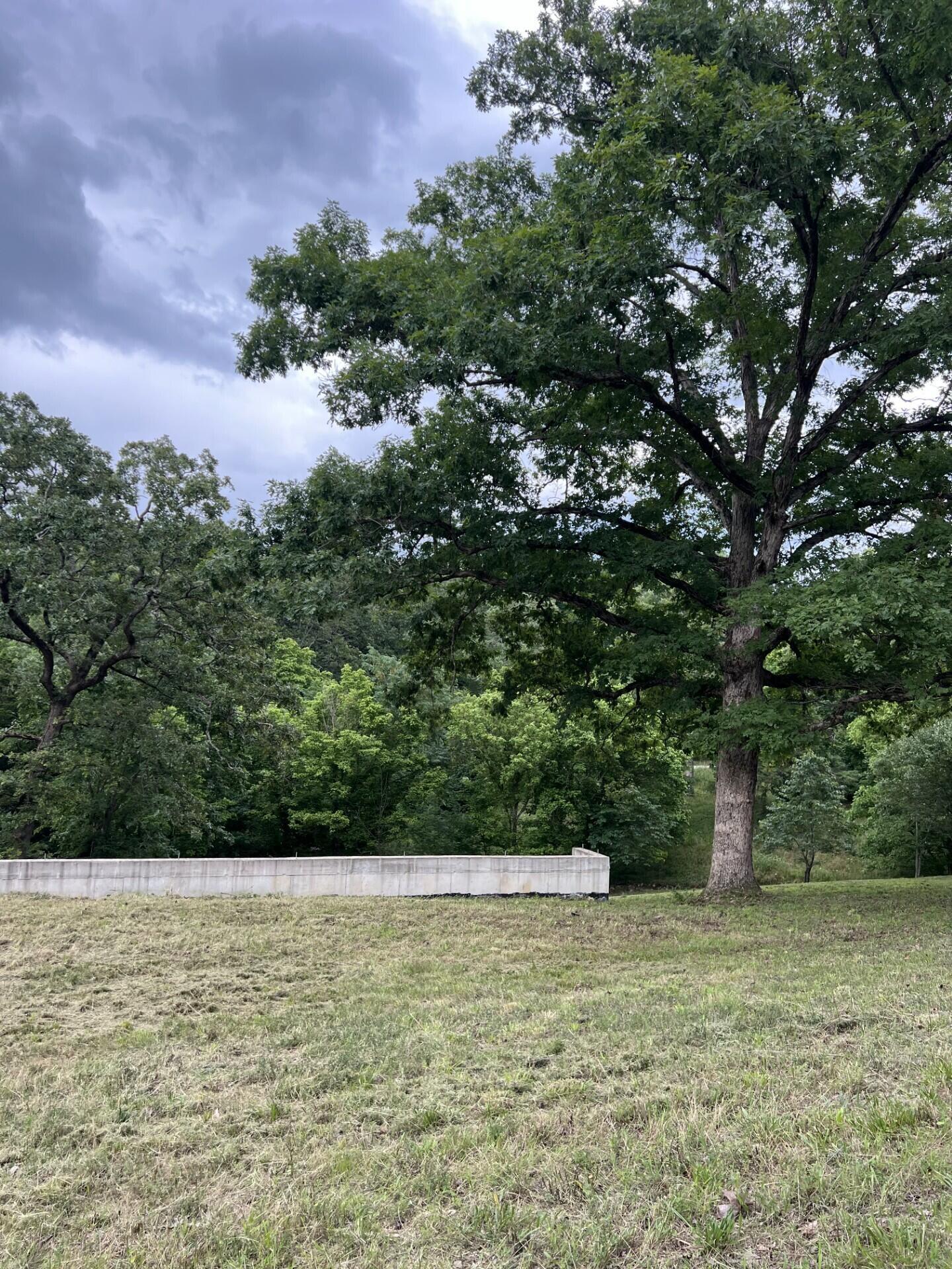 Image 4 Image 4