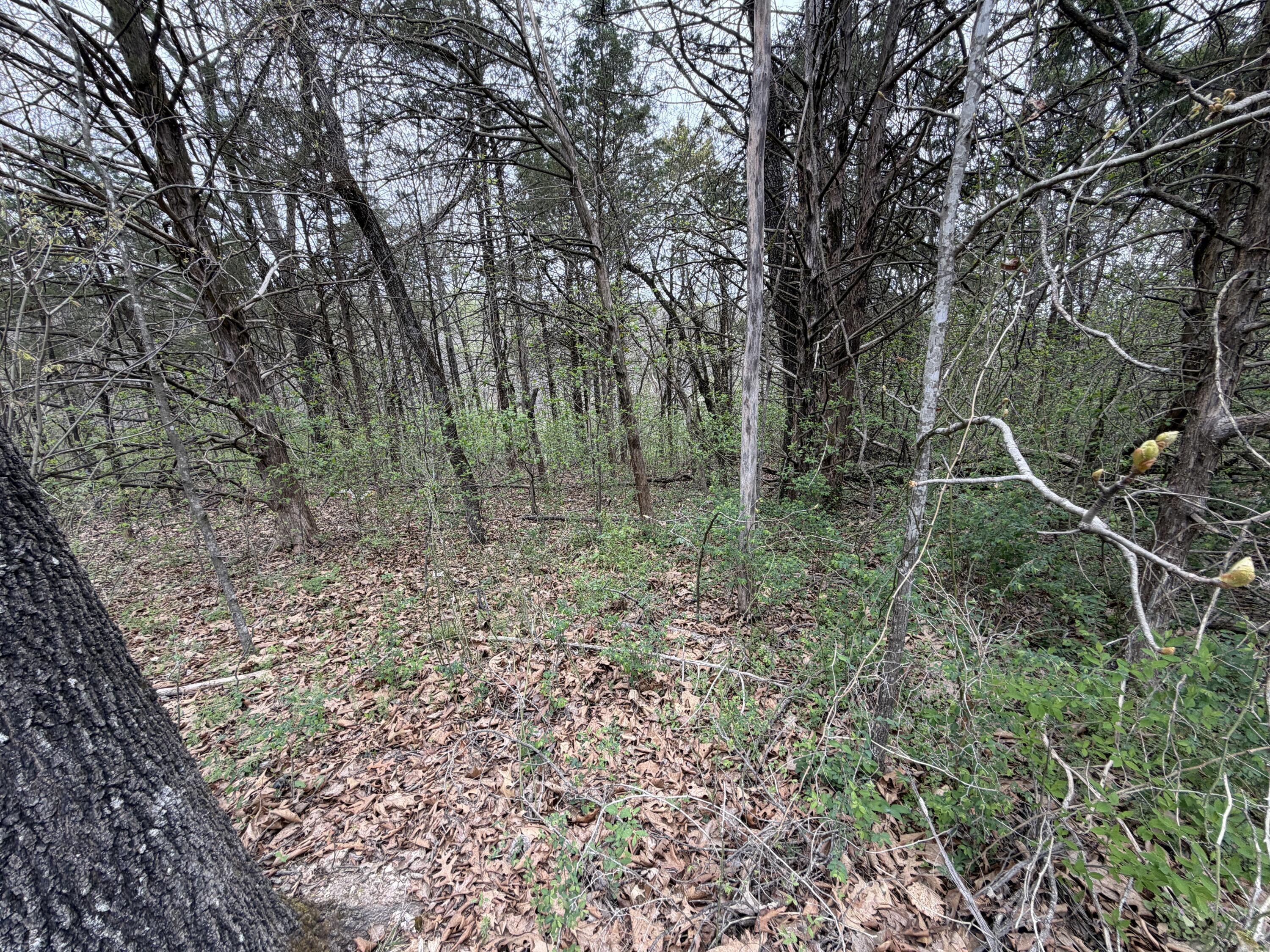 Image 3 Image 3