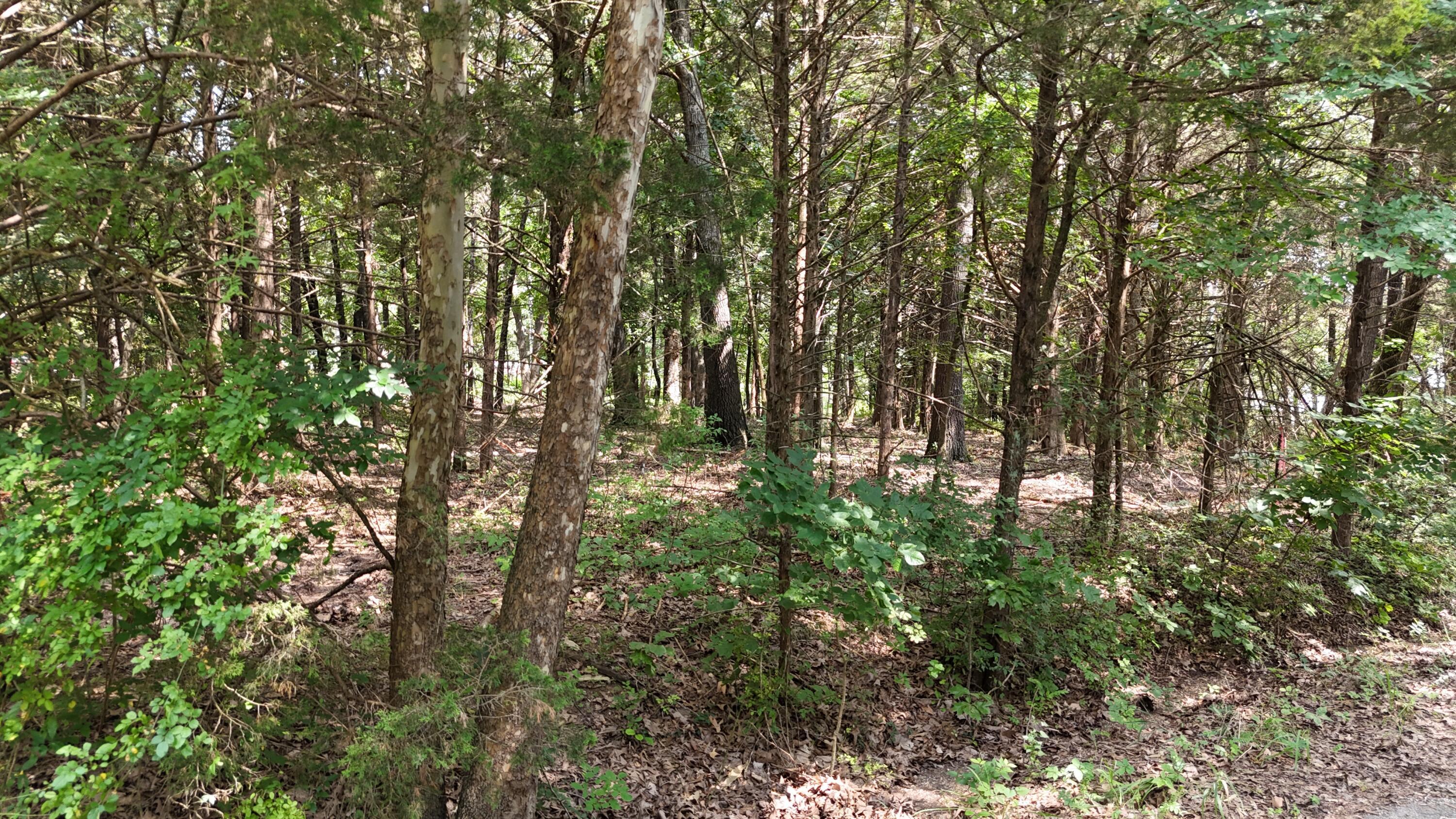Image 3 Image 3