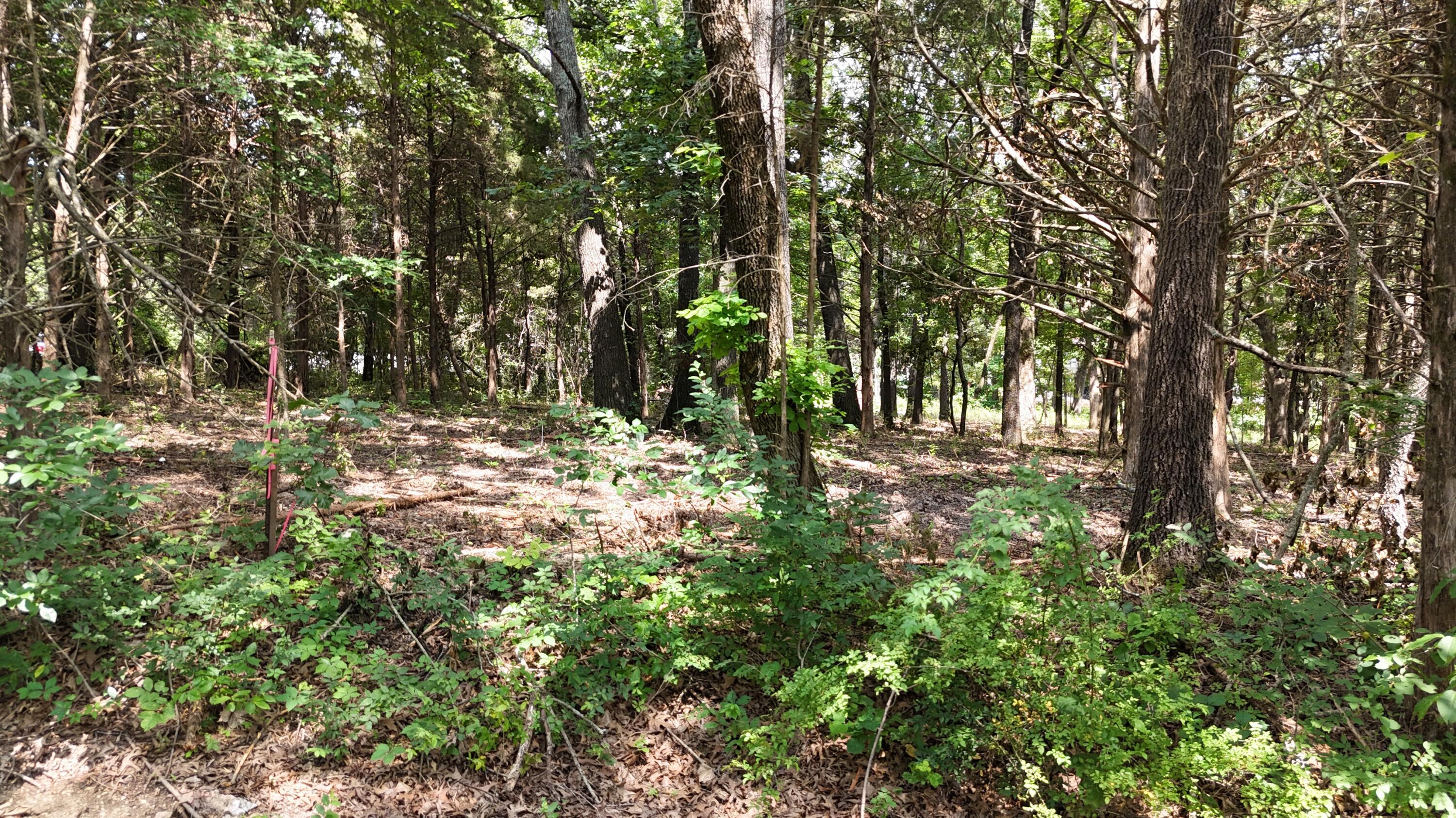 Image 4 Image 4