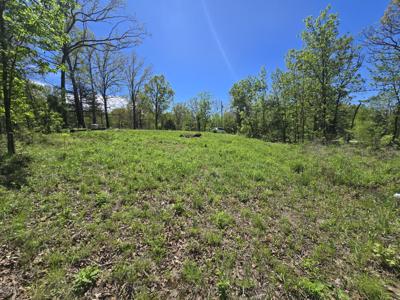 24803 County Road 294