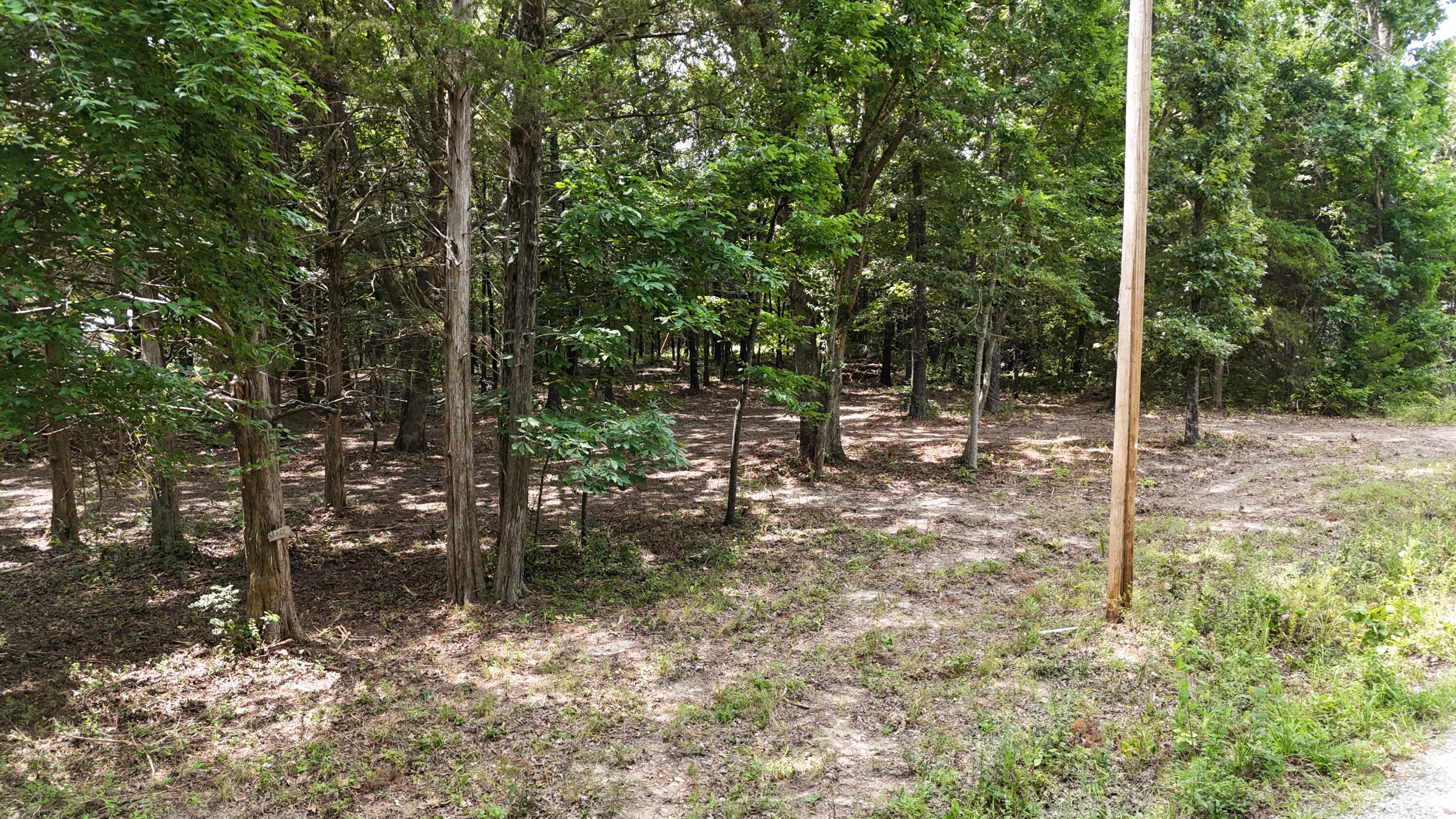 Image 4 Image 4