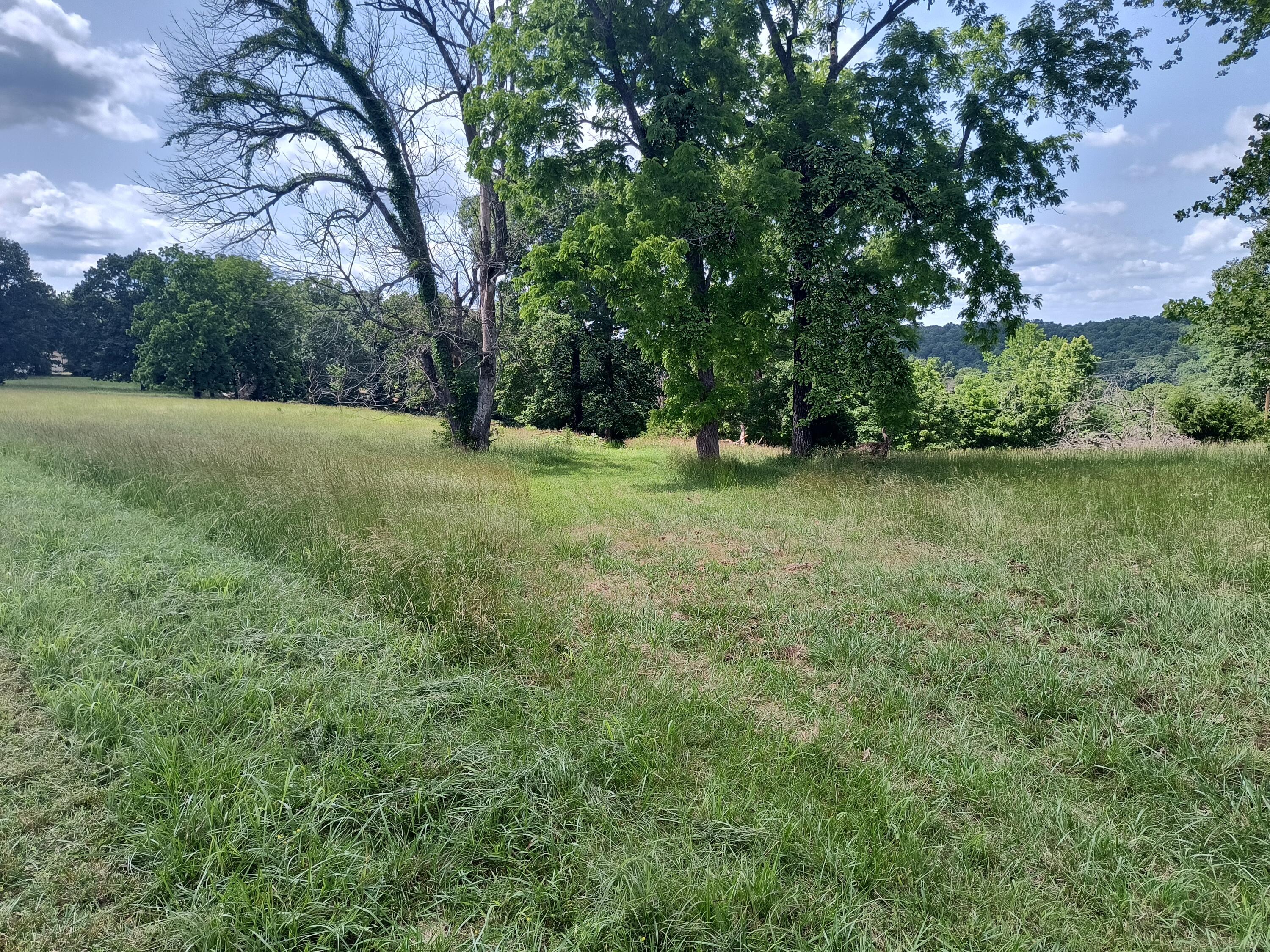 Image 3 Image 3