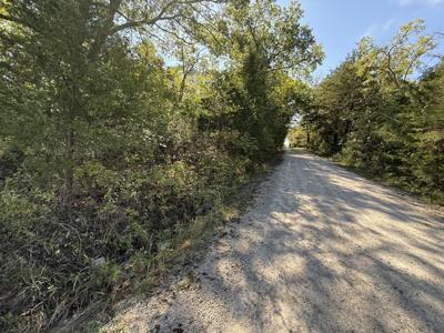 Lot 1 Daisy Lane