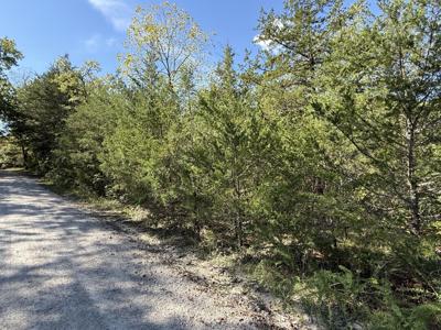 Lot 23 Daisy Lane