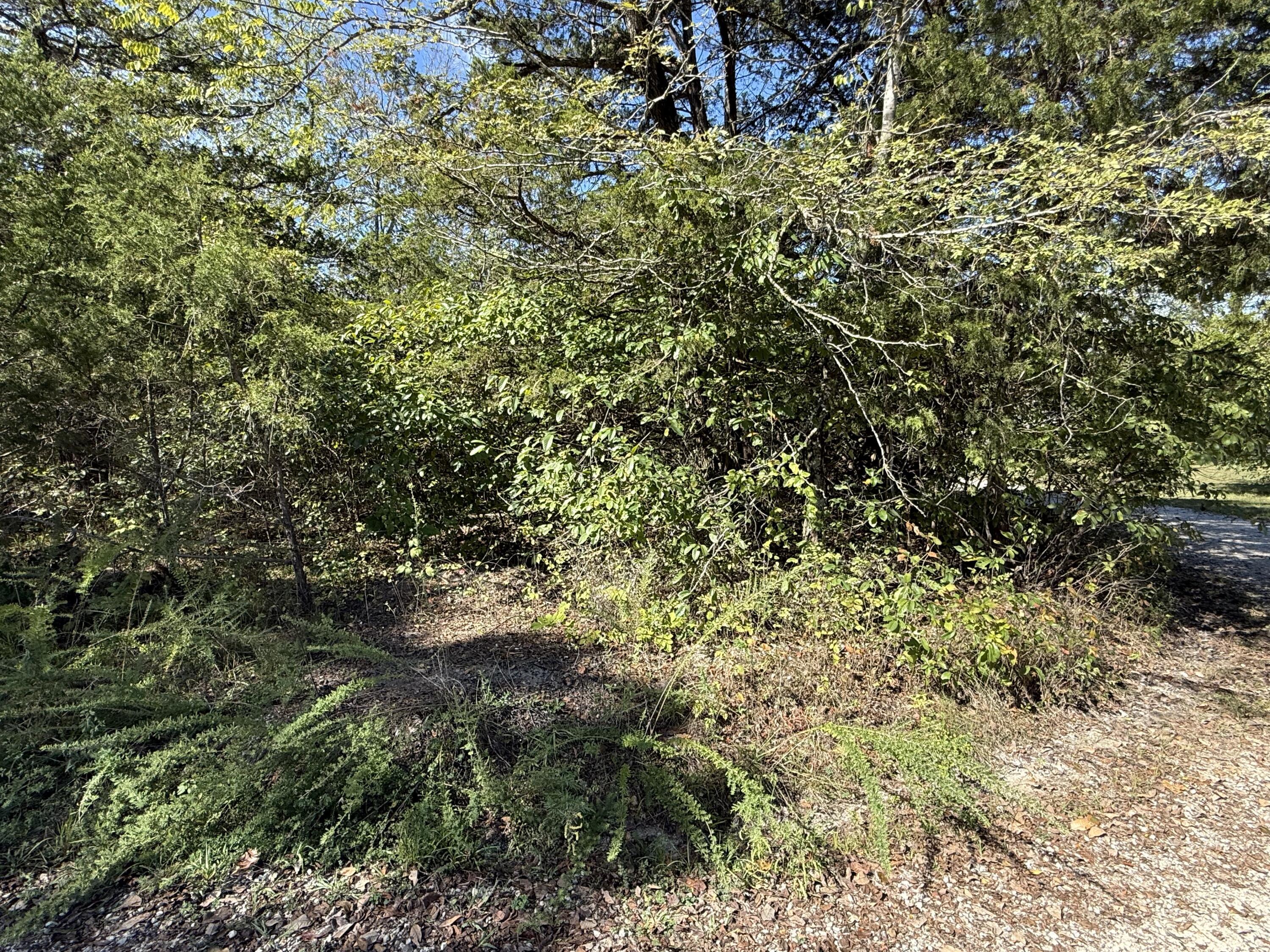 Image 3 Image 3