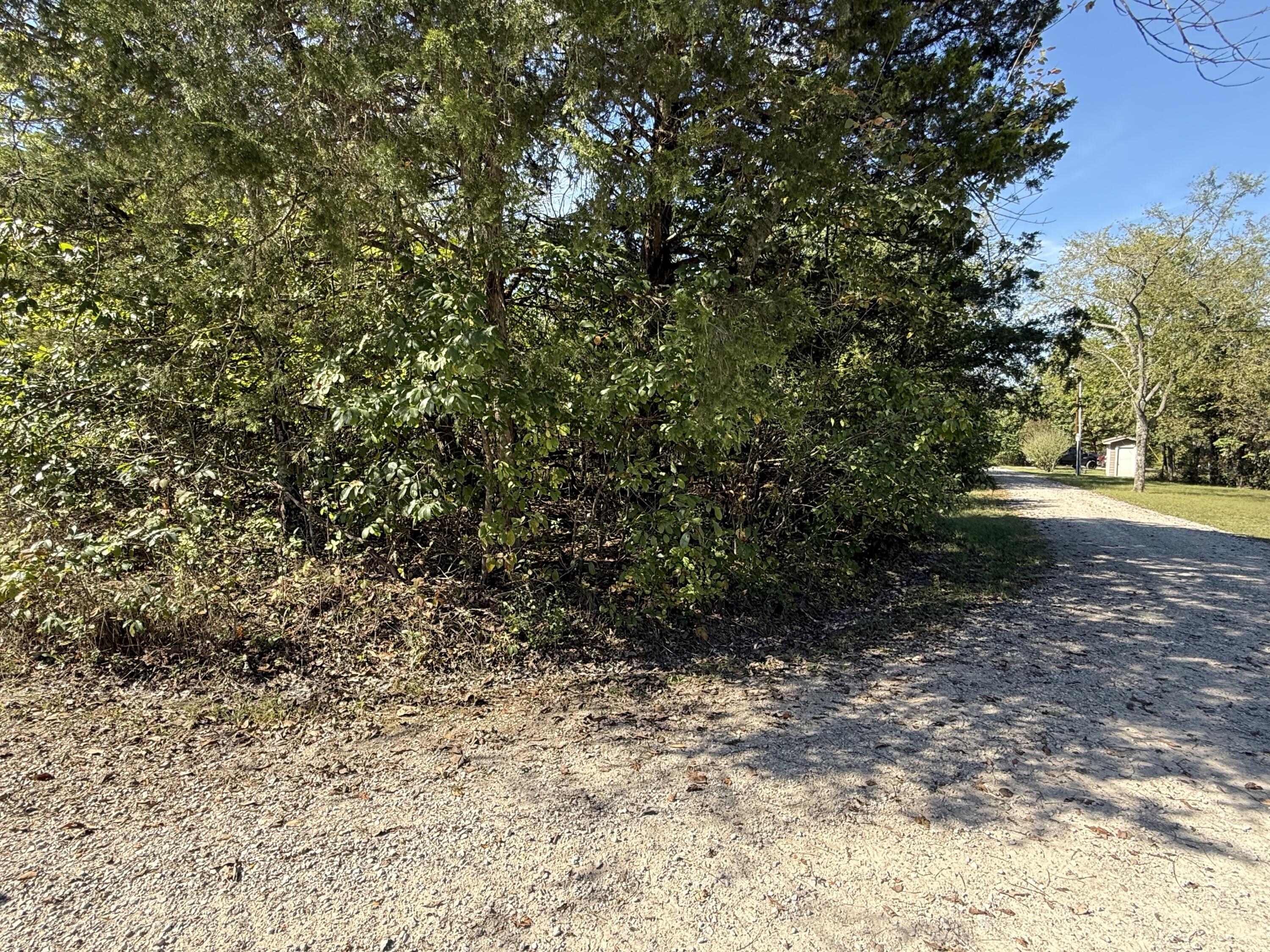 Image 4 Image 4