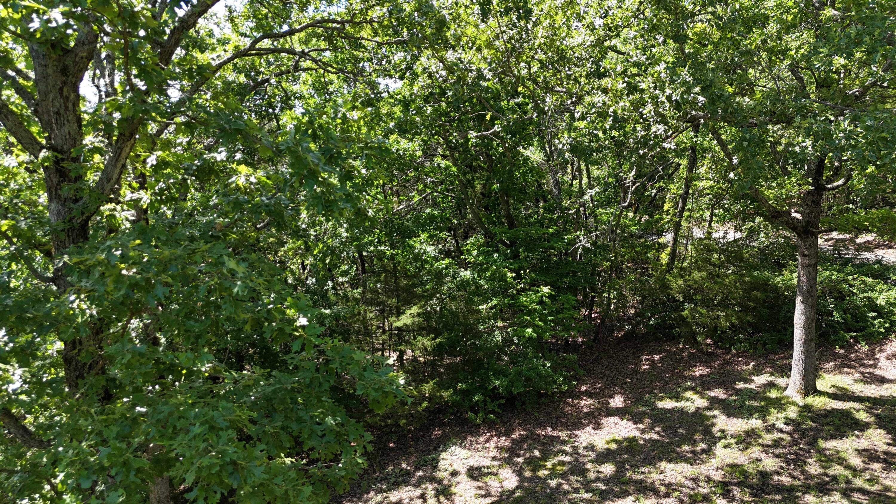Image 3 Image 3