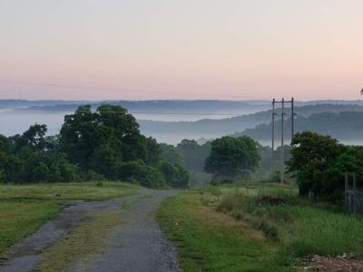 311 Tipton Mountain Road