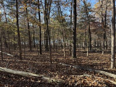 Lot 40 Point Ct.