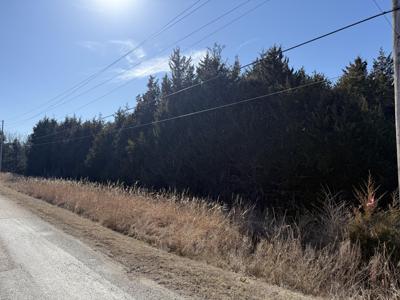 000 County Road 203