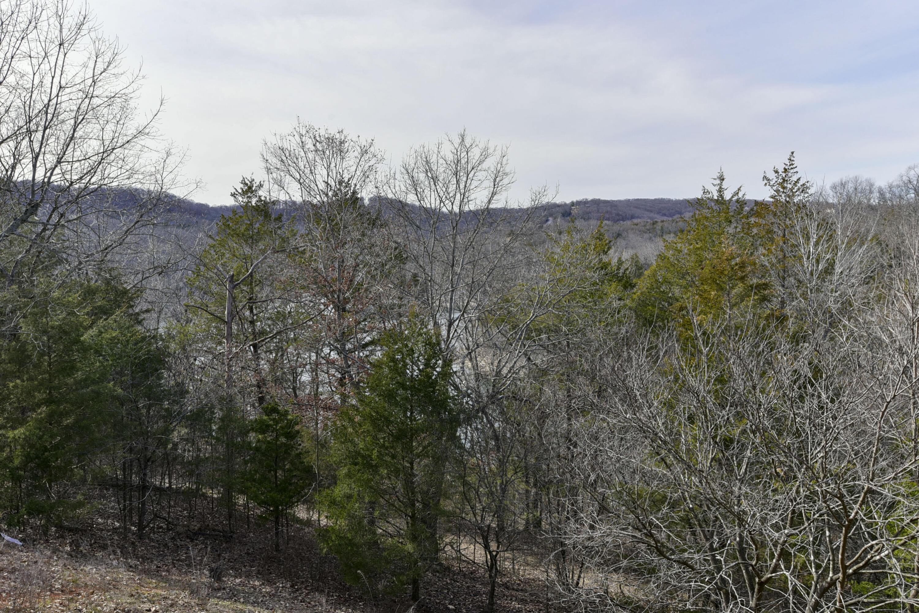 Image 4 Image 4