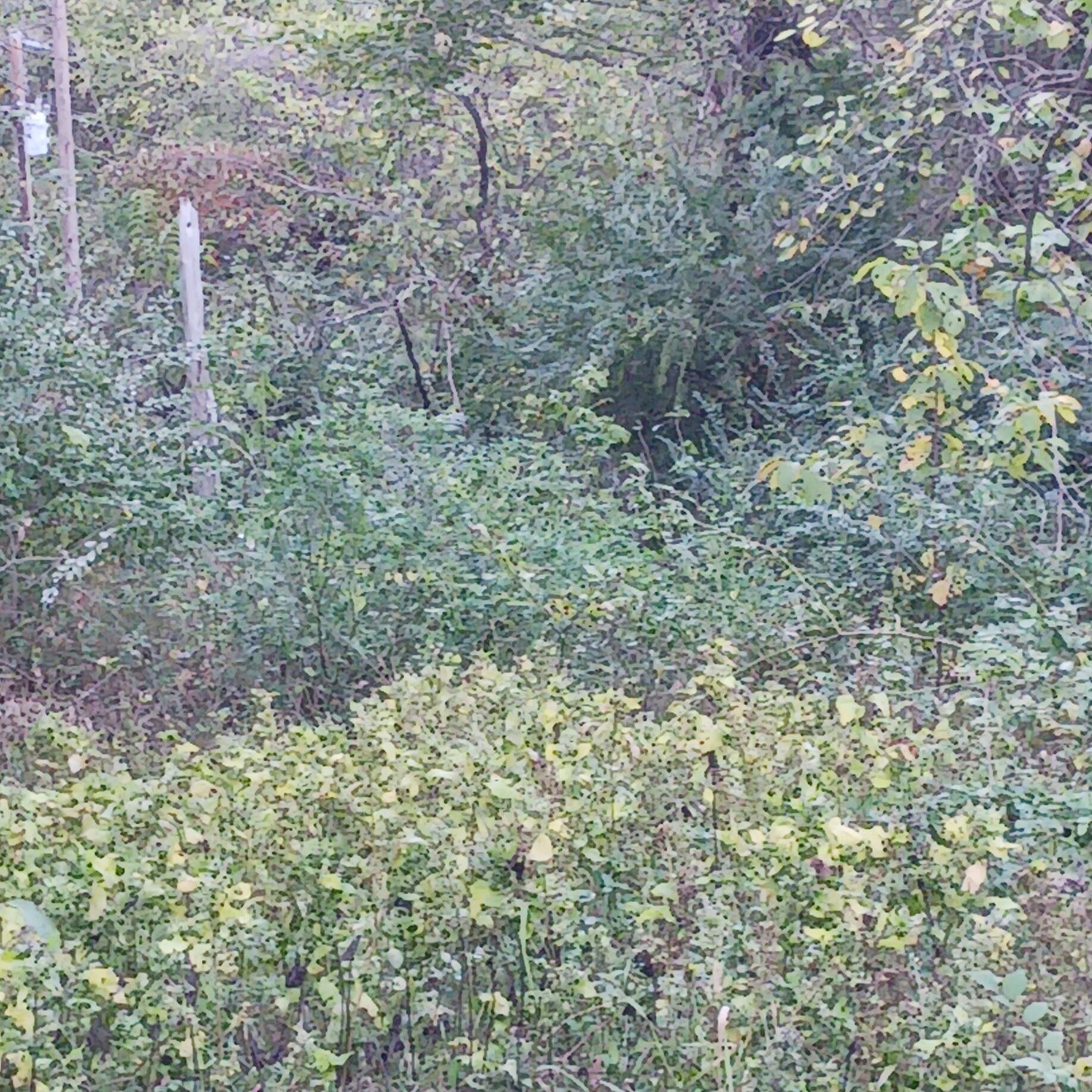 Image 2 Image 2