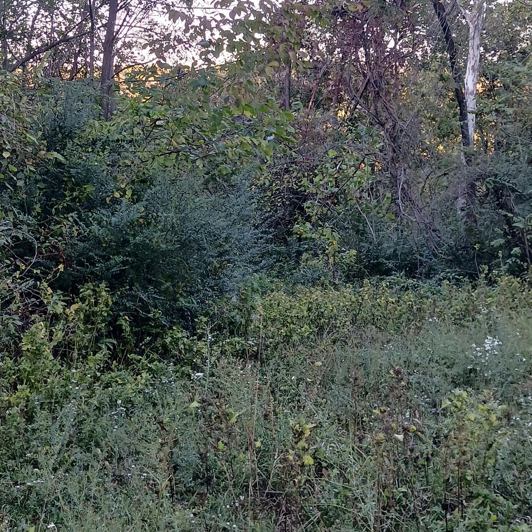 Image 4 Image 4