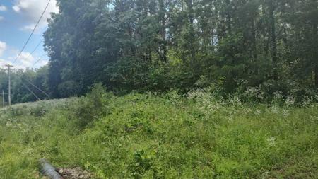 Lot142 143 Farm Road 1255