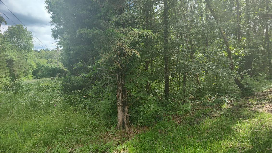 Image 3 Image 3