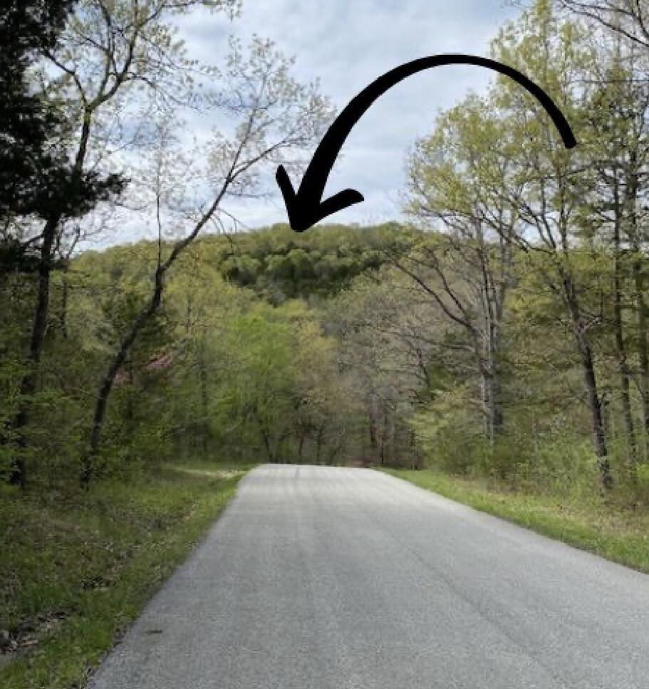 Image 3 Image 3
