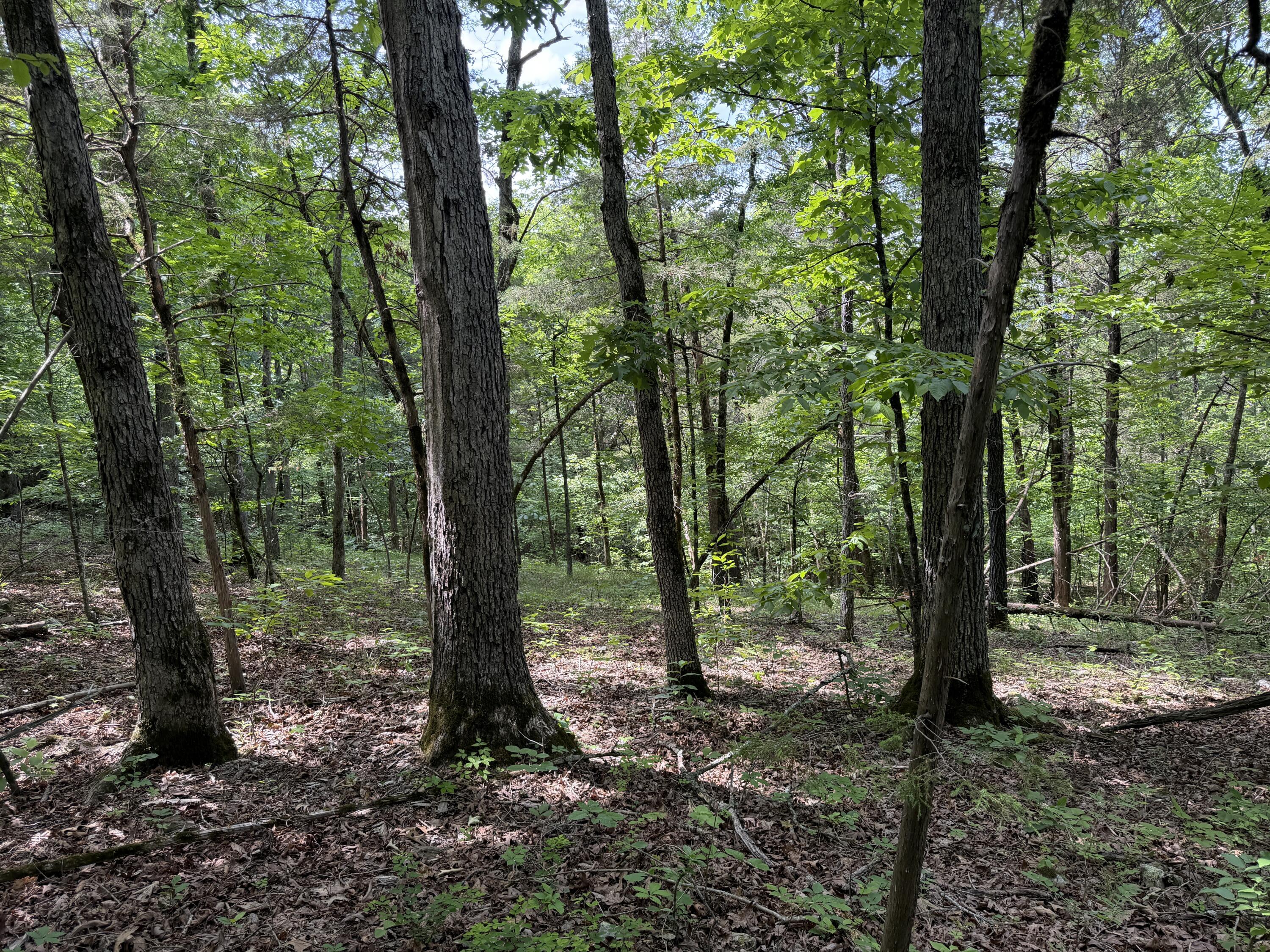 Image 3 Image 3