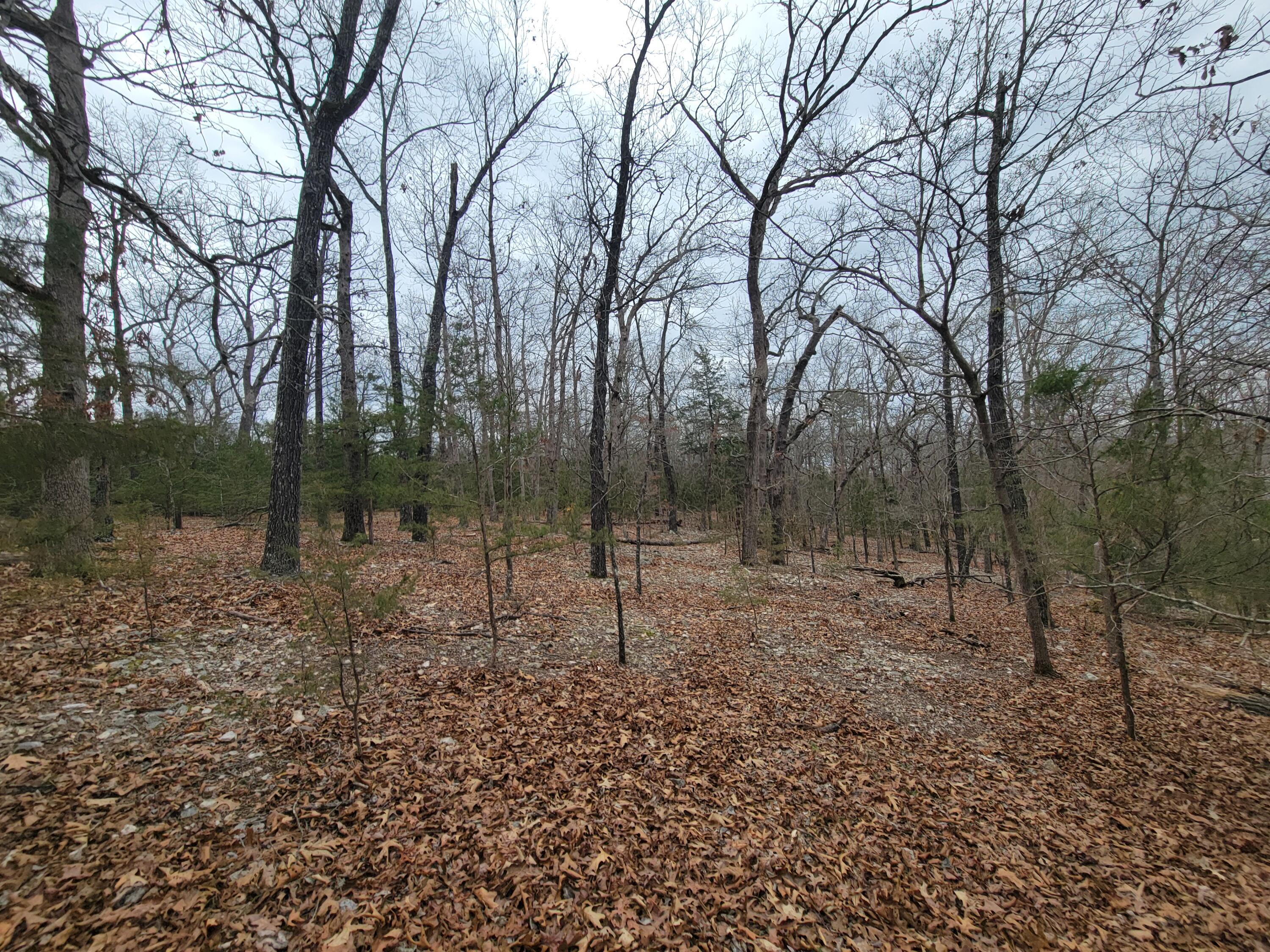 Image 3 Image 3