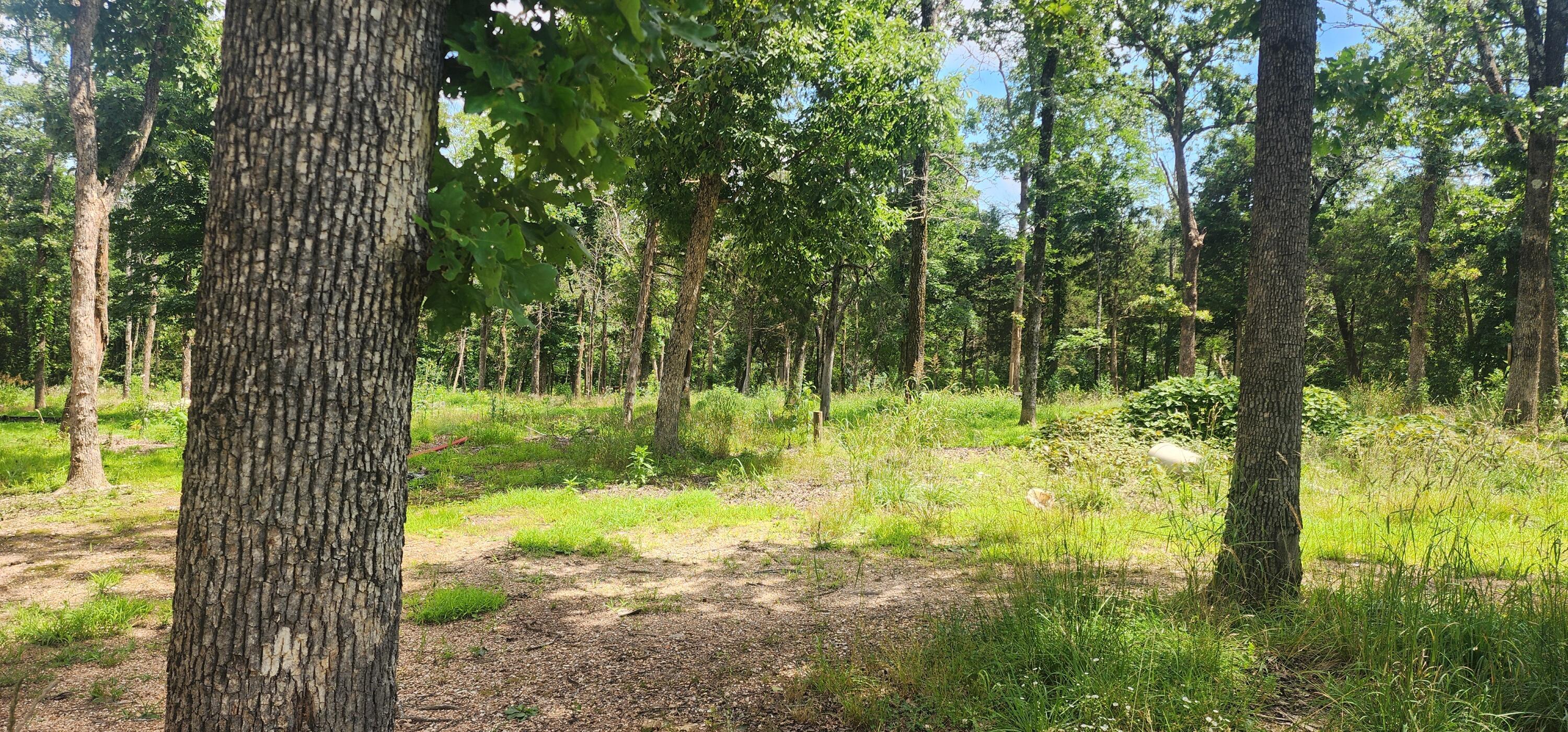 Image 4 Image 4
