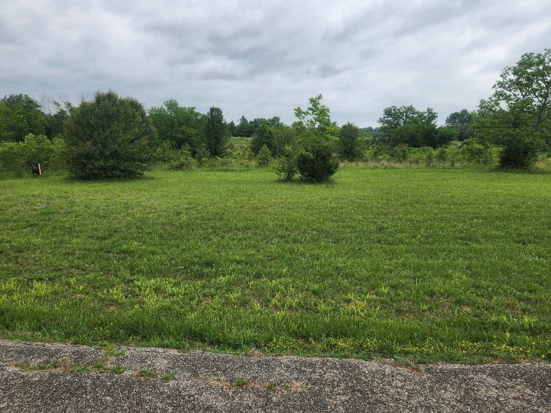 Image 1 Image 1