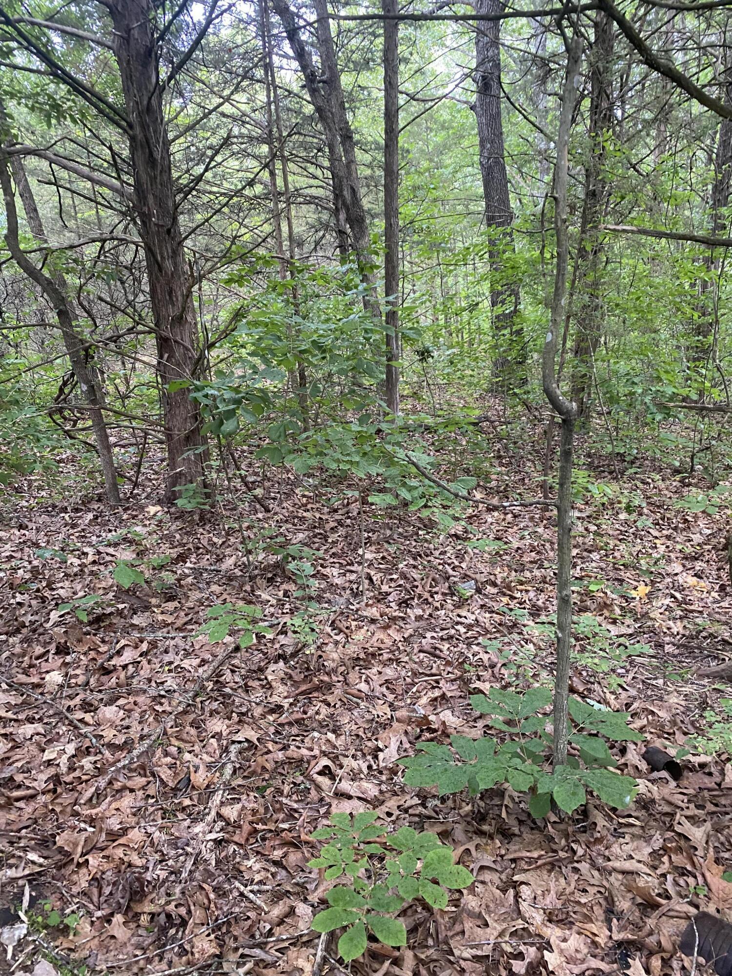 Image 3 Image 3