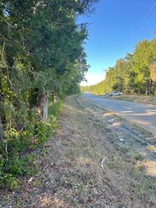 000 County Road 203