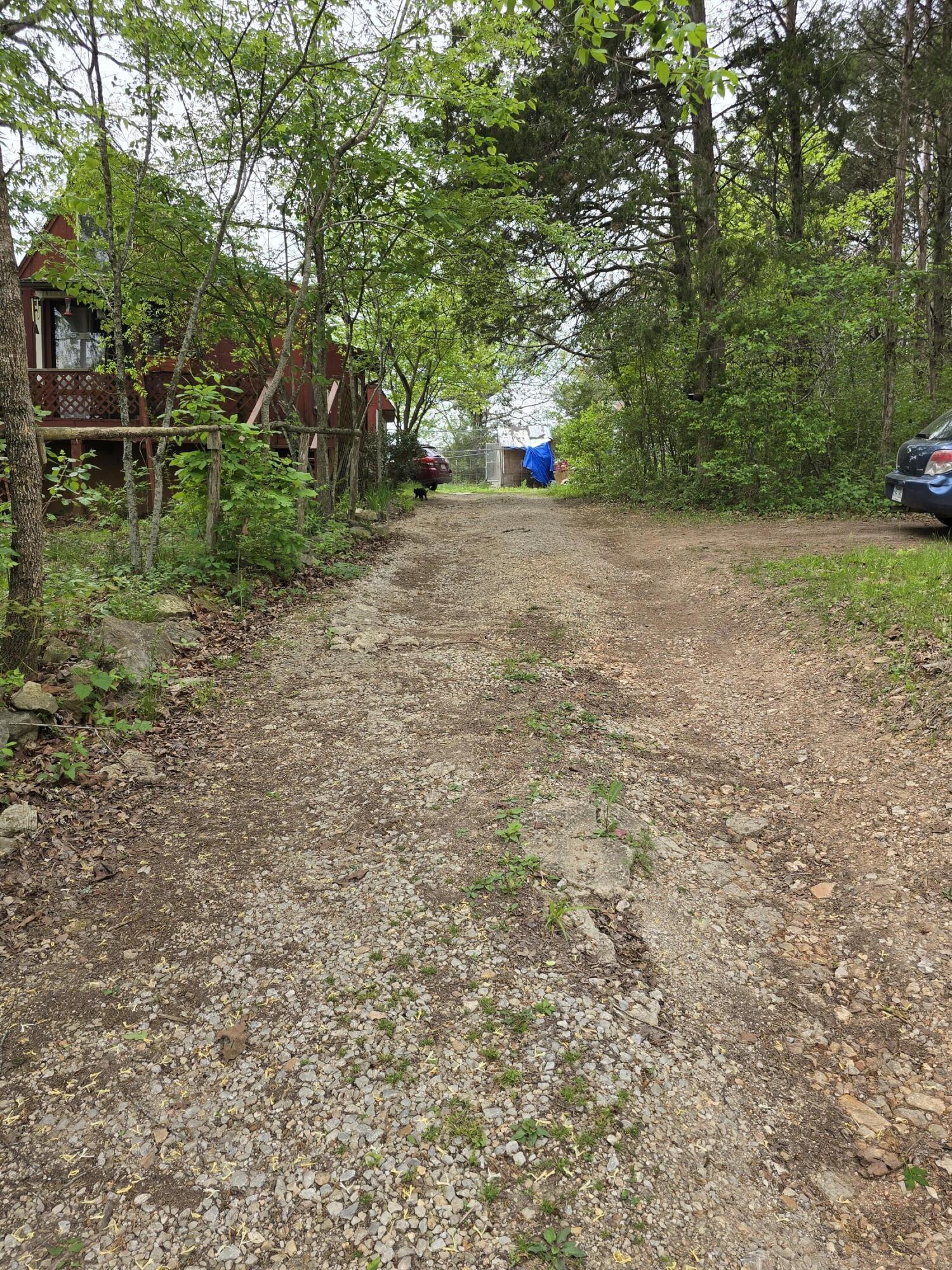 Image 4 Image 4