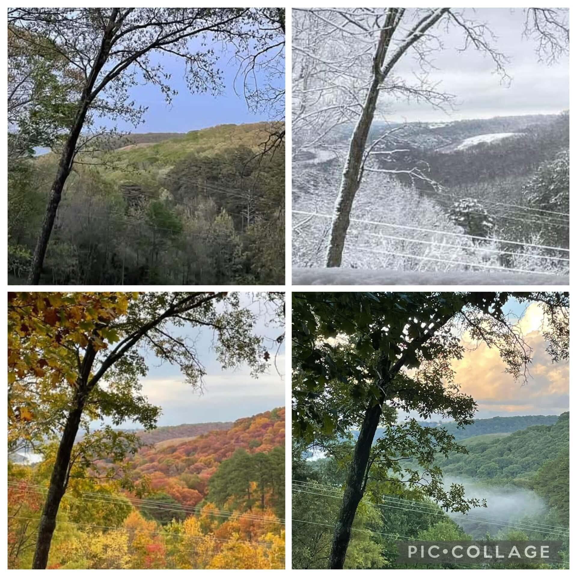 Image 4 Image 4