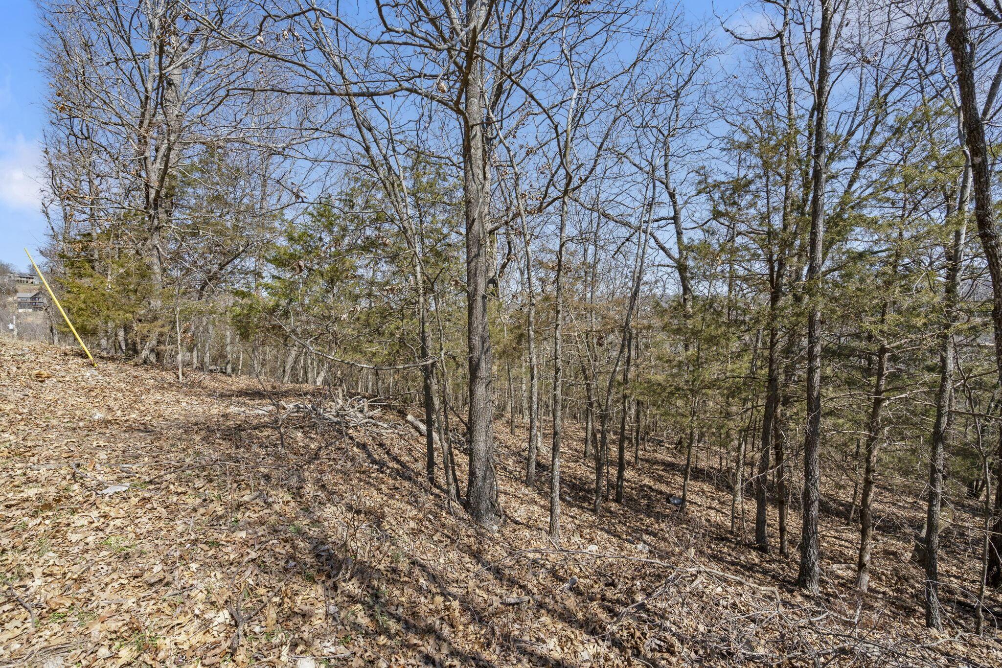 Image 4 Image 4