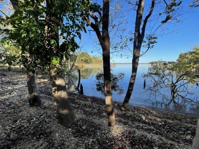 Tbd Oakwood Drive