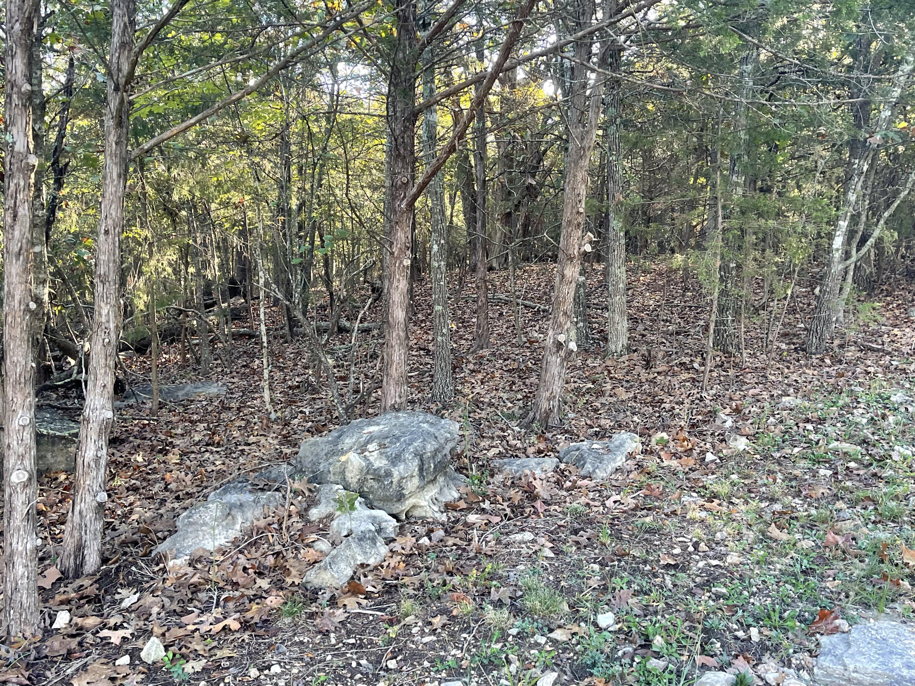 Image 4 Image 4