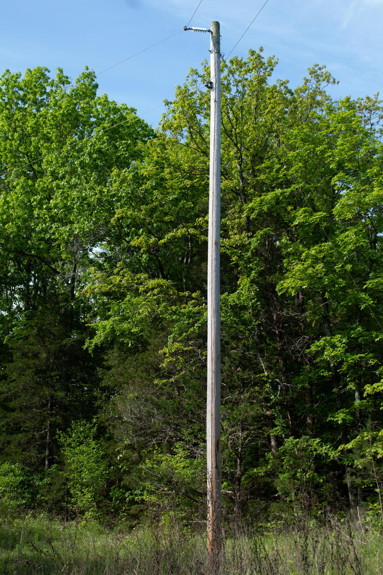 Image 3 Image 3