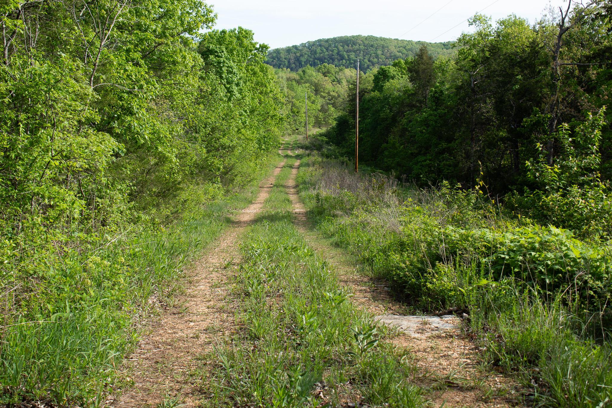 Image 4 Image 4