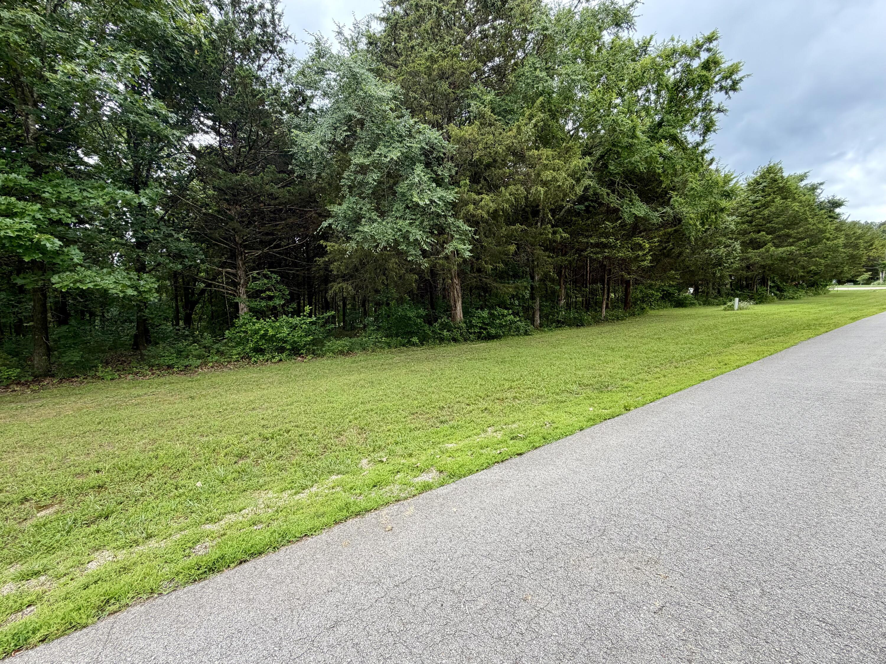 Image 4 Image 4