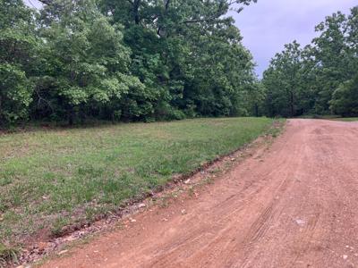 000 County Road 8790