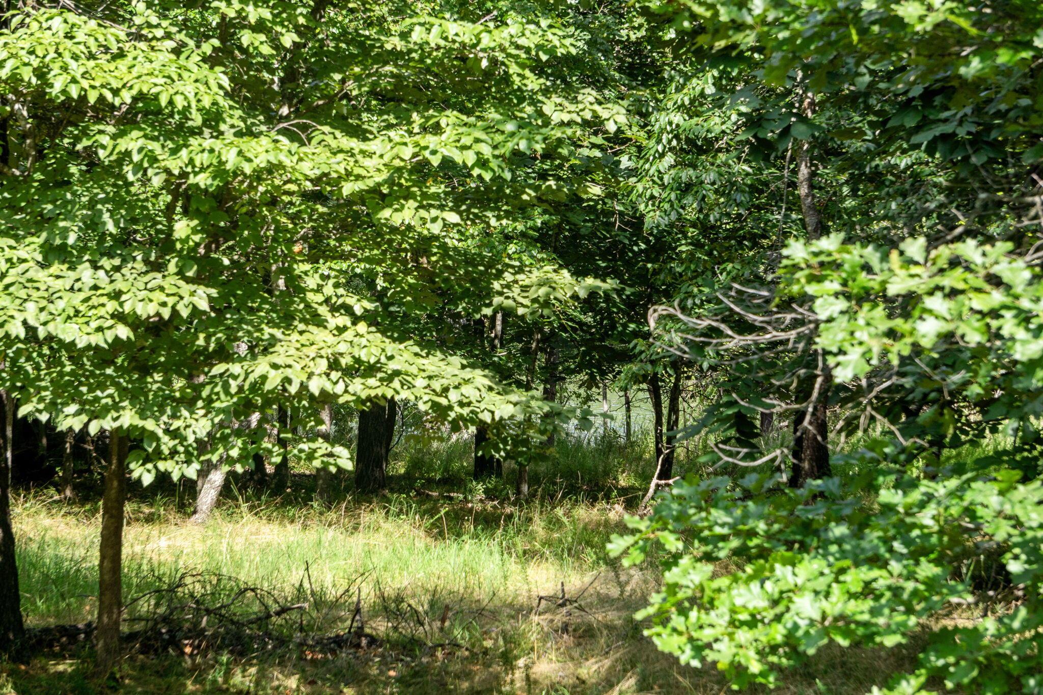 Image 4 Image 4
