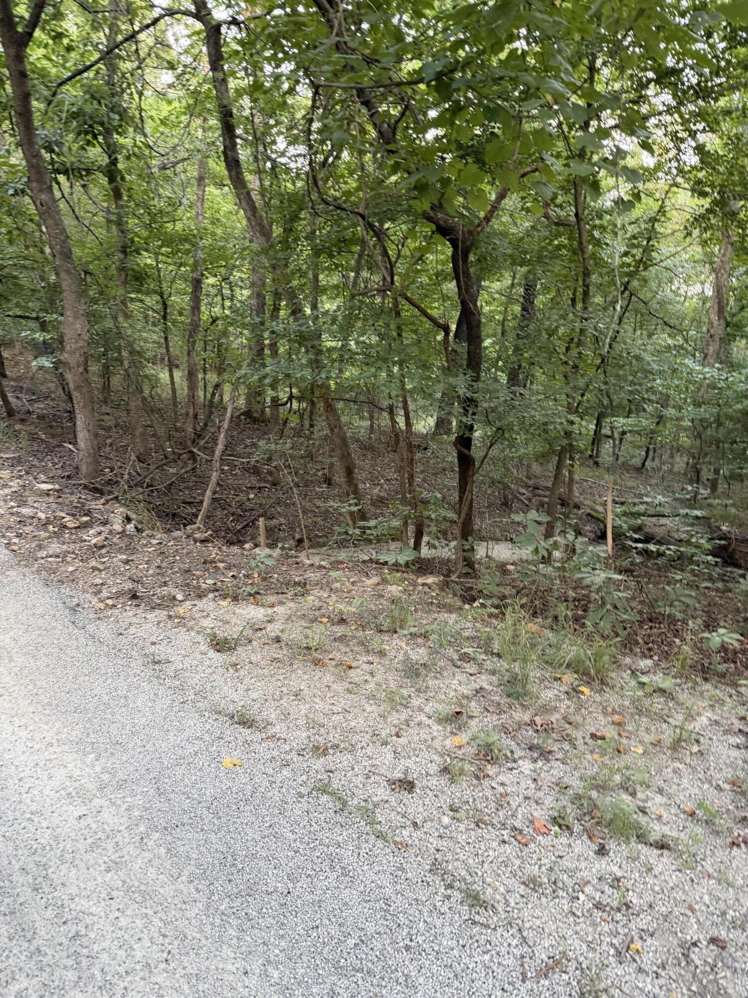 Image 2 Image 2
