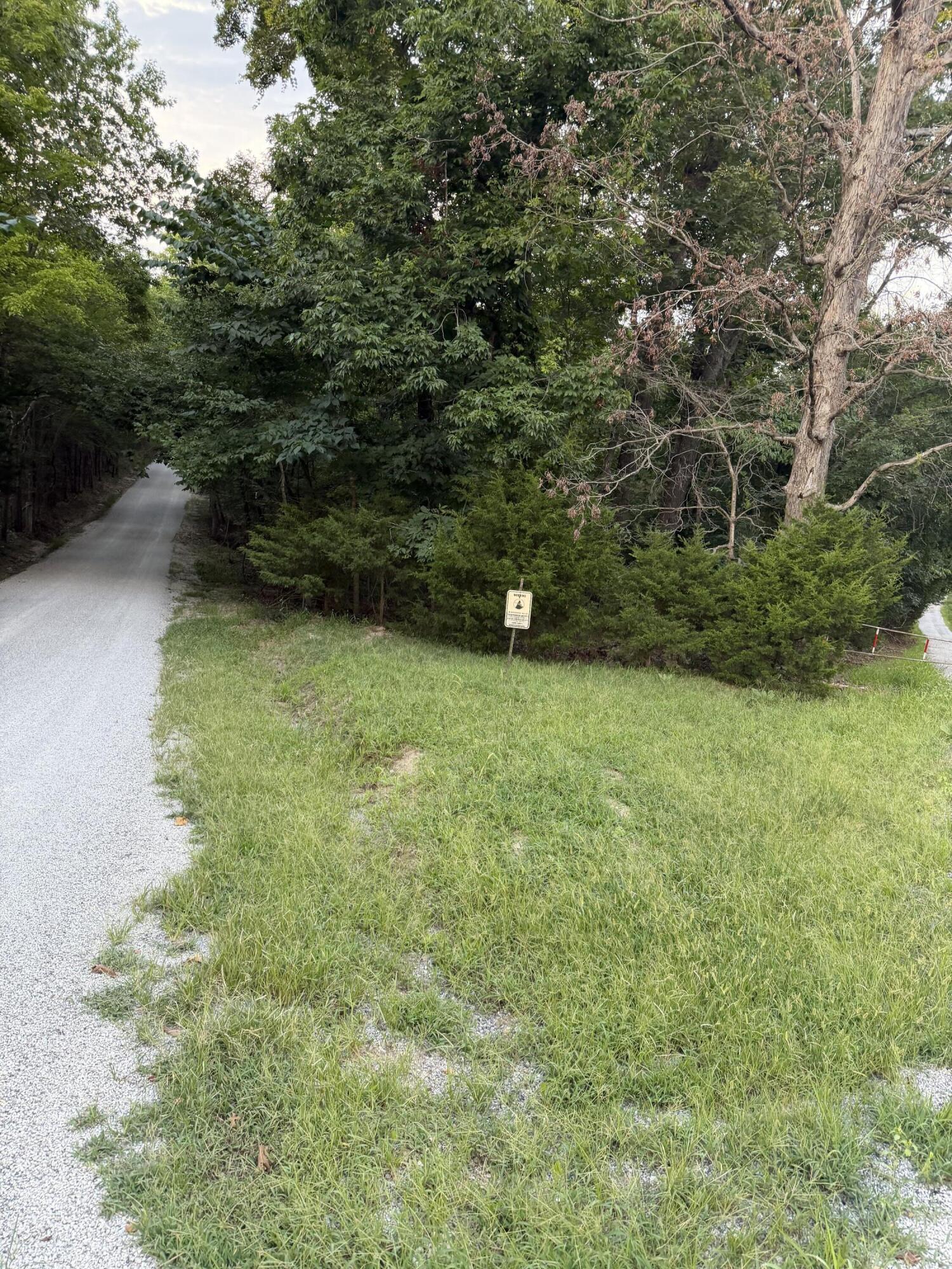 Image 4 Image 4