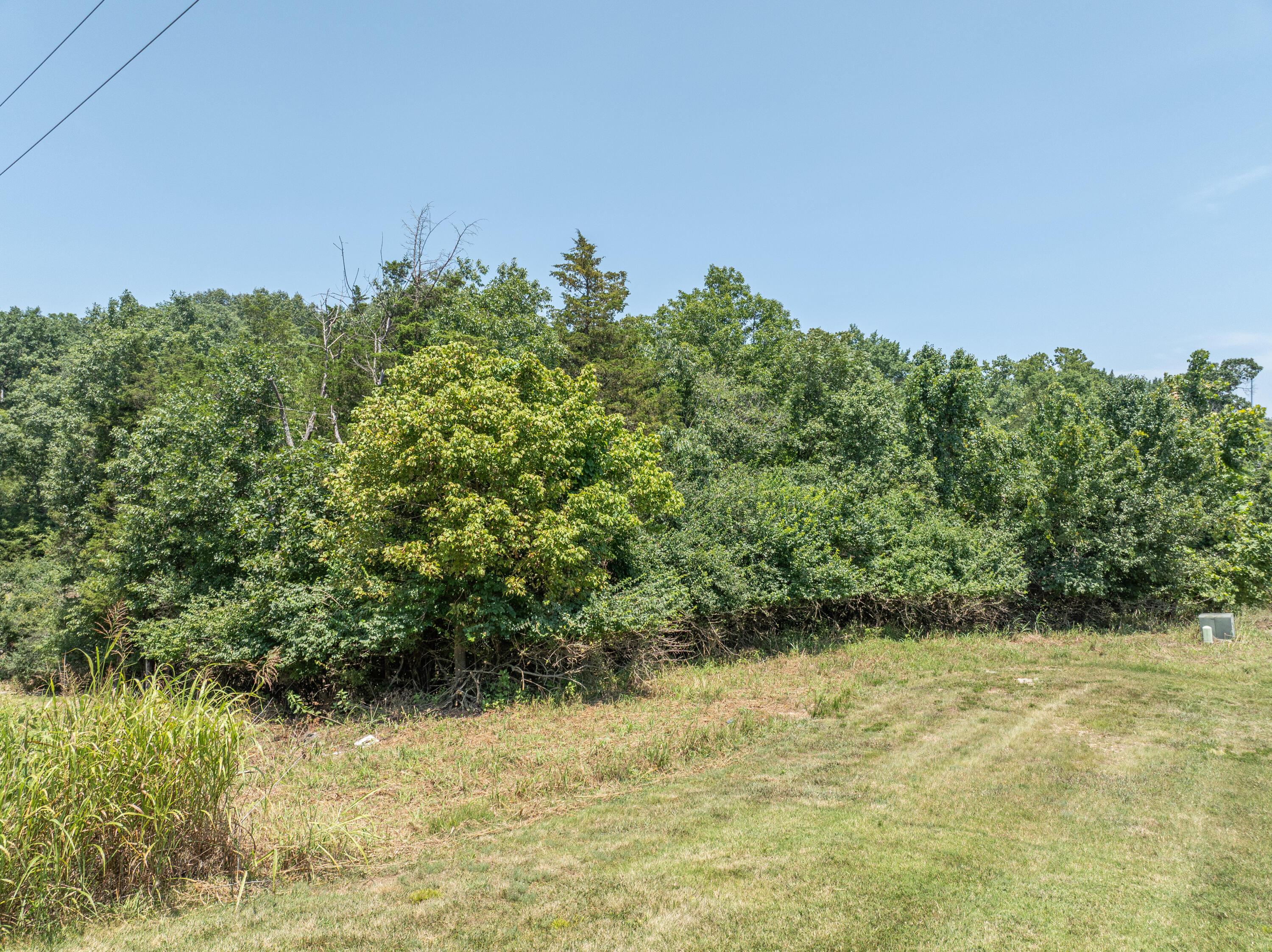 Image 4 Image 4