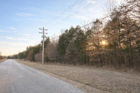000 County Road 203